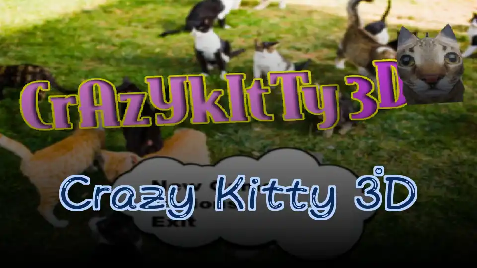Crazy Kitty 3D
